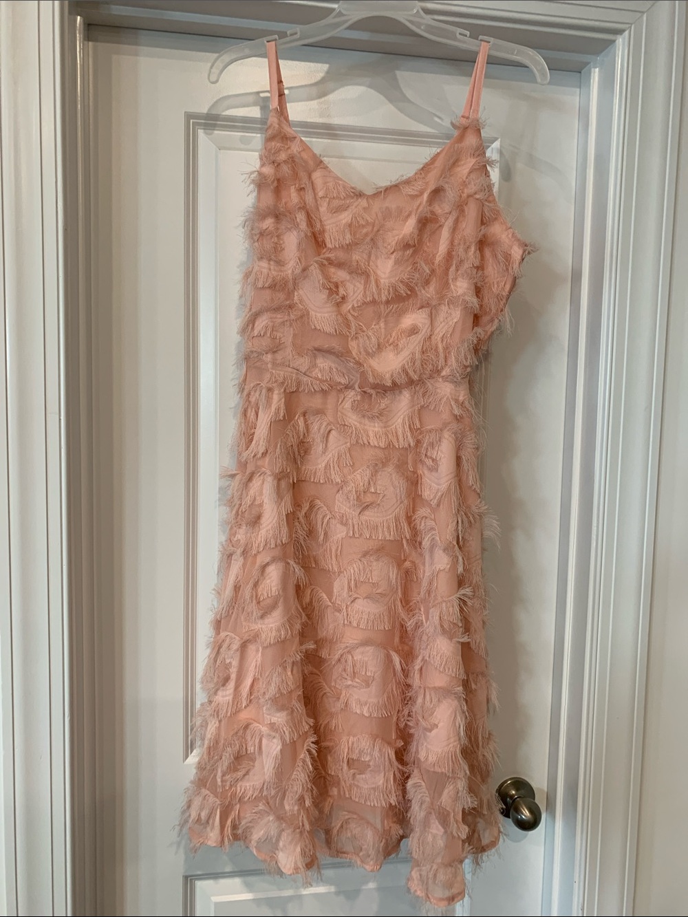 Blush eyelash fabric Spaghetti Strap Dress L fit and flare NWOT
